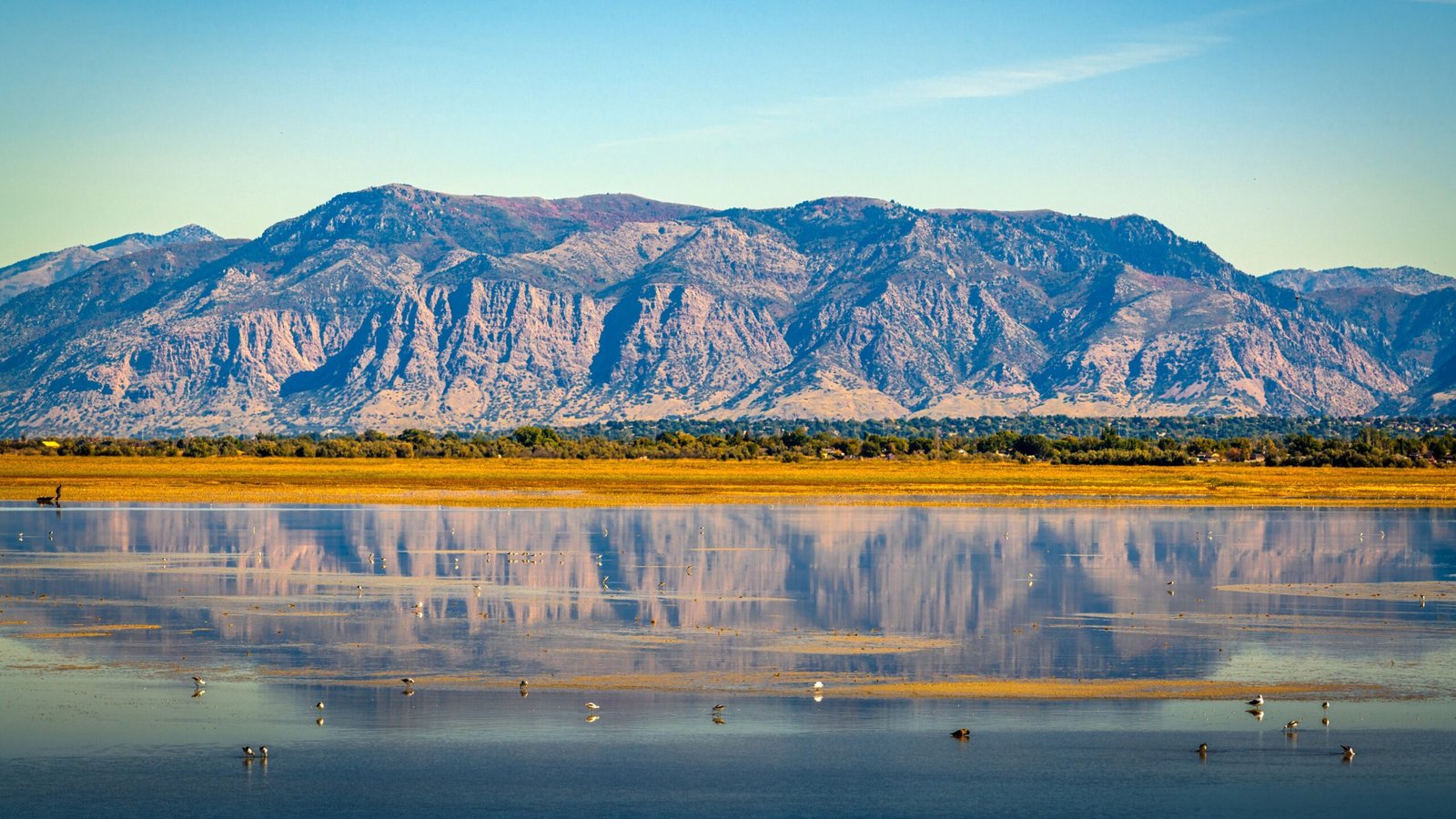 Barren Landscape around the Great Salt Lake in Utah