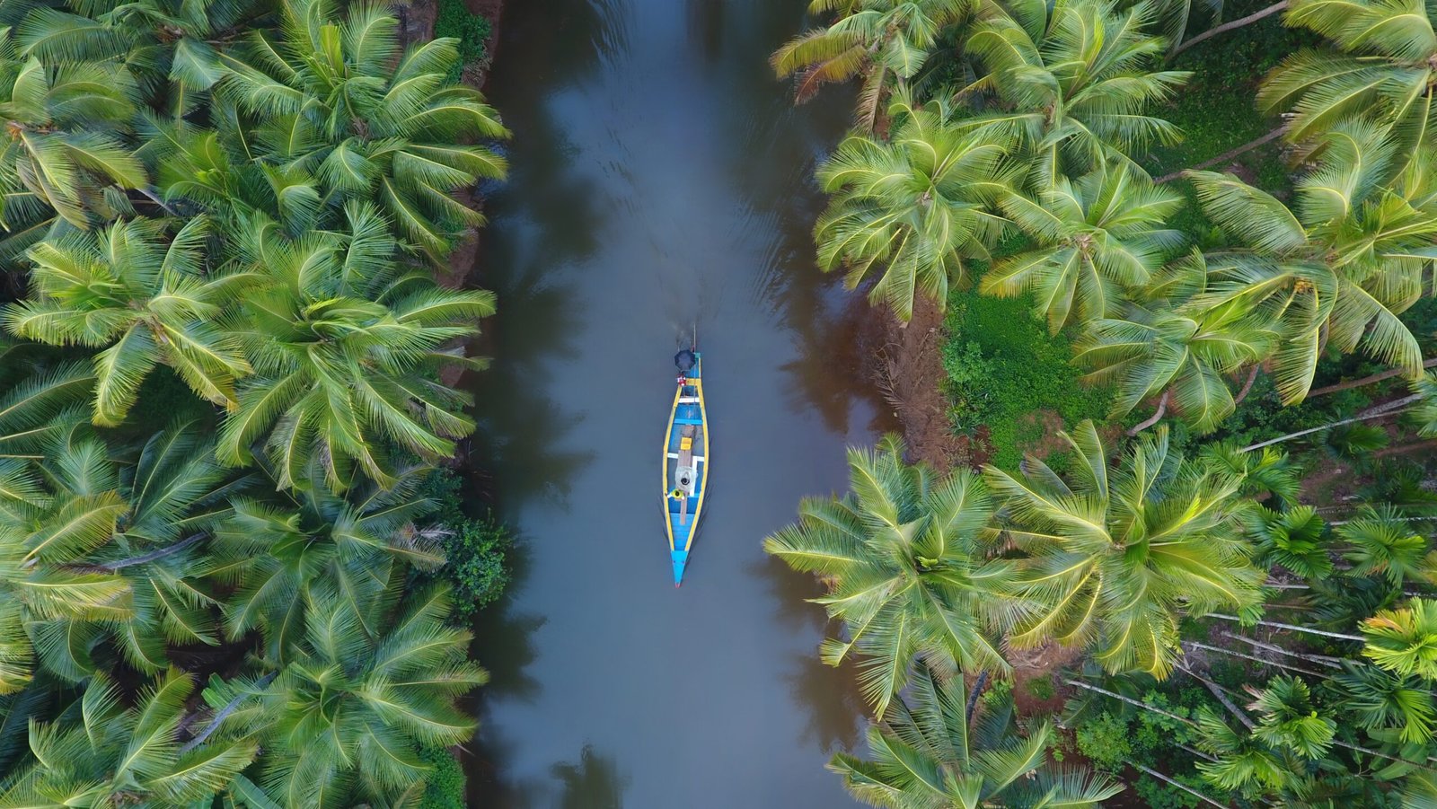 Aerial view of boat in backwaters of Kerala